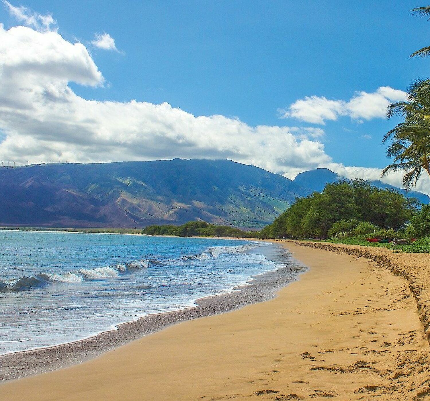 Best Things To Do in Kahului Maui Maui Beach Hotel in Kahului